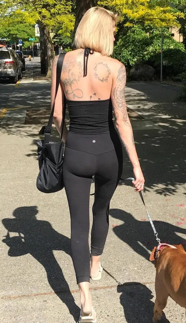 TamaralCurves